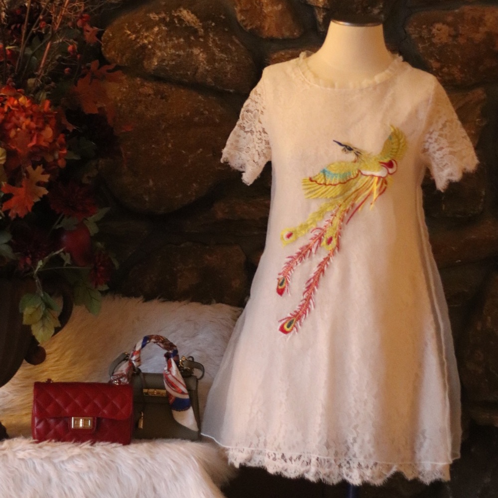 Lace Embroidery Mini Dress